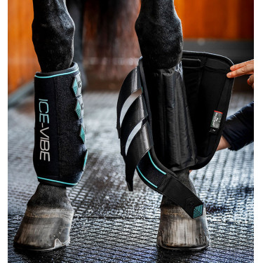 Guêtres Horseware Ice-Vibe Preto / aqua Guêtres Horseware Ice-Vibe Preto / aqua