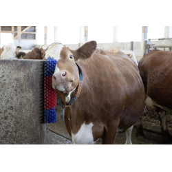 Escova de parede Kerbl Escova de parede Kerbl