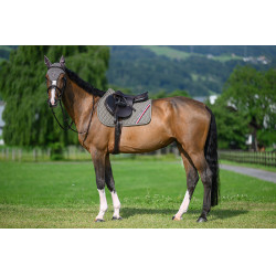 Tapete de CSO Tommy Hilfiger Equestrian Stanford Cinza Azul-marinho