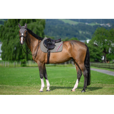 Tapete de CSO Tommy Hilfiger Equestrian Stanford Cinza Azul-marinho