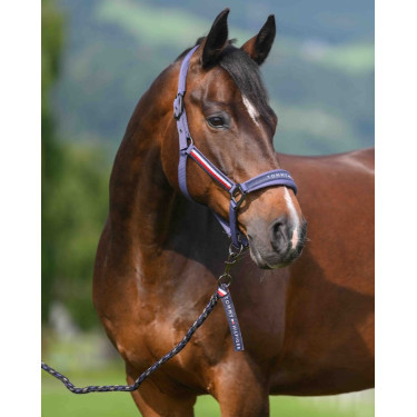 Cabresto e guia Tommy Hilfiger Equestrian Yale Índigo desbotado Azul