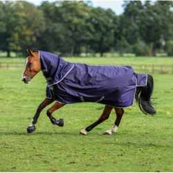 Manta Bucas Atlantic Exclusive 150g e cobre-pescoço Marinho / azul