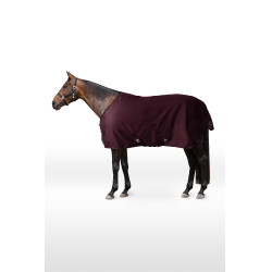 Capa exterior refletora Horze Newbridge 0 g Figue Violeta