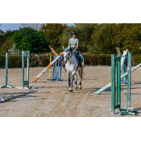T-shirt sem costuras de manga curta Equithème Elena mulher Caqui Kaki