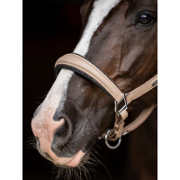 Cabolça de couro Equestrian Stockholm anatómica brilhante Castanho integral