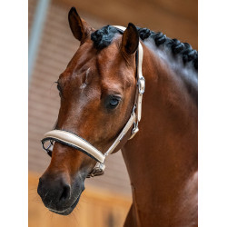 Cabolça de couro Equestrian Stockholm anatómica brilhante Areia Amarelo Cabolça de couro Equestrian Stockholm anatómica brilhante Areia Amarelo