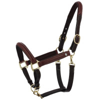 Cabeçada de grooming em couro oleado Norton Spring Havana Castanho