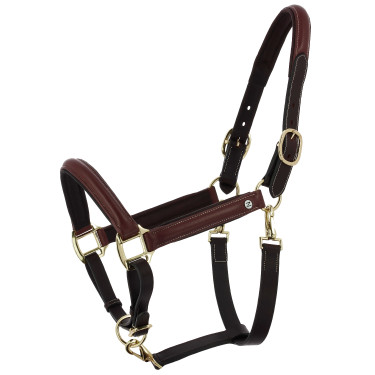 Cabeçada de grooming em couro oleado Norton Spring Havana Castanho