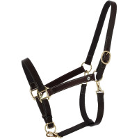 Caveção de grooming em couro oleado Norton Derby Havana Castanho