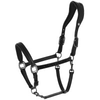 Caveção Norton Anatómico Crystal Preto