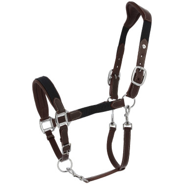 Cabezada Norton Dualy Havana / marinho Castanho