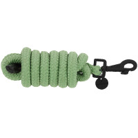 Longe Equithème Pearl Verde