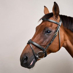 Bridão Muserola Combinada Dy'on D Collection Preto Bridão Muserola Combinada Dy'on D Collection Preto