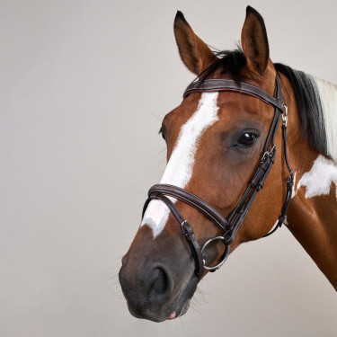 Bridão Muserola Combinada Com Mosquetão Dy'on Working Castanho Bridão Muserola Combinada Com Mosquetão Dy'on Working Castanho