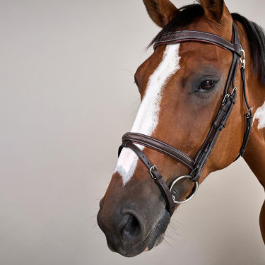 Bridão Muserola Combinada Com Mosquetão Dy'on Working Castanho Bridão Muserola Combinada Com Mosquetão Dy'on Working Castanho