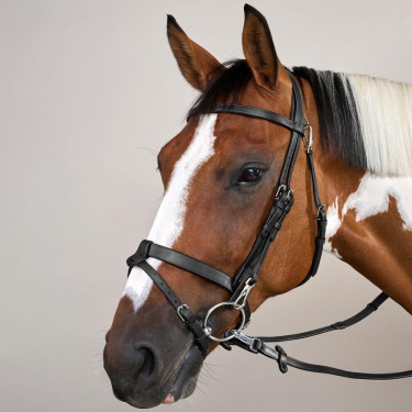 Corda de Couro Plana com Mosquetões Working by Dy'on Preto