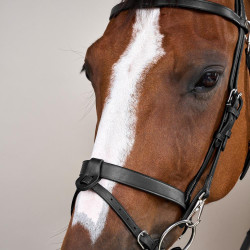 Corda de Couro Plana com Mosquetões Working by Dy'on Preto