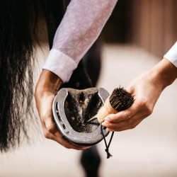 Pequena limpadora de casco Kentucky Castanho