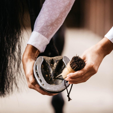 Pequena limpadora de casco Kentucky Castanho
