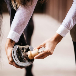 Pequena limpadora de casco Kentucky Castanho