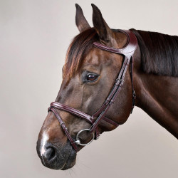 Bridão Différence New English Collection by Dy'on Castanho Bridão Différence New English Collection by Dy'on Castanho