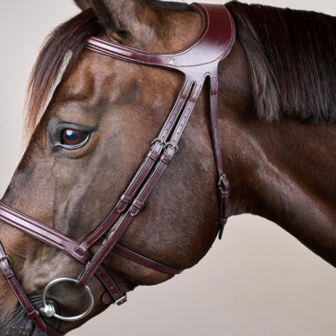 Bridão Différence New English Collection by Dy'on Castanho Bridão Différence New English Collection by Dy'on Castanho