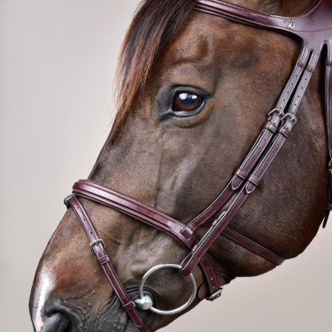 Bridão Différence New English Collection by Dy'on Castanho Bridão Différence New English Collection by Dy'on Castanho