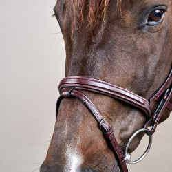 Bridão Différence New English Collection by Dy'on Castanho Bridão Différence New English Collection by Dy'on Castanho