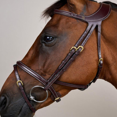 Bridão Différence D Collection by Dy'on Castanho Bridão Différence D Collection by Dy'on Castanho