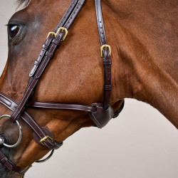 Bridão Différence D Collection by Dy'on Castanho Bridão Différence D Collection by Dy'on Castanho