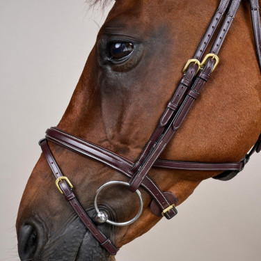 Bridão Différence D Collection by Dy'on Castanho Bridão Différence D Collection by Dy'on Castanho