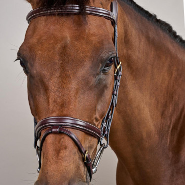 Bridão Différence D Collection by Dy'on Castanho Bridão Différence D Collection by Dy'on Castanho