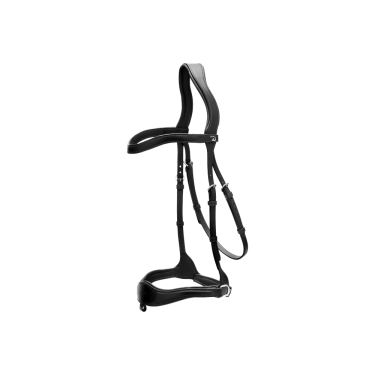 Bridão D Motion New English Collection by Dy'on Preto