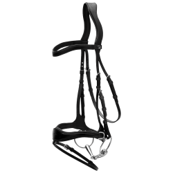 Bridão D Motion New English Collection by Dy'on Preto