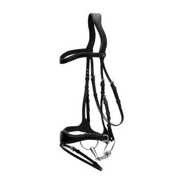 Bridão D Motion New English Collection by Dy'on Preto