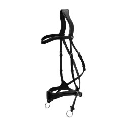 Bridão D Motion New English Collection by Dy'on Preto