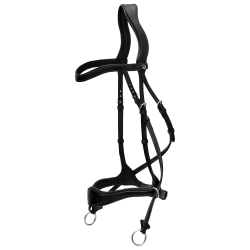 Bridão D Motion New English Collection by Dy'on Preto