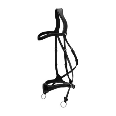 Bridão D Motion New English Collection by Dy'on Preto