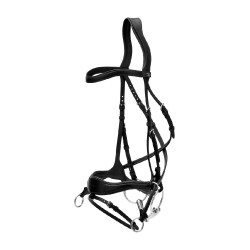 Bridão D Motion New English Collection by Dy'on Preto