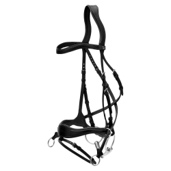 Bridão D Motion New English Collection by Dy'on Preto