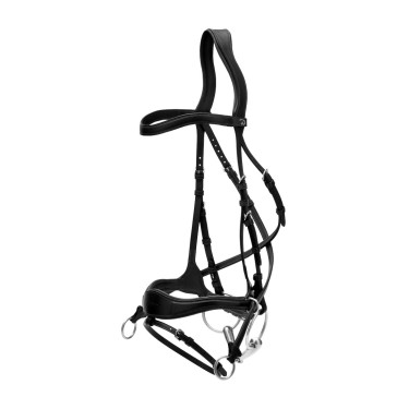 Bridão D Motion New English Collection by Dy'on Preto