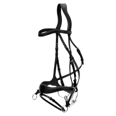 Bridão D Motion New English Collection by Dy'on Preto