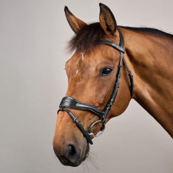 Bridão D Motion New English Collection by Dy'on Preto