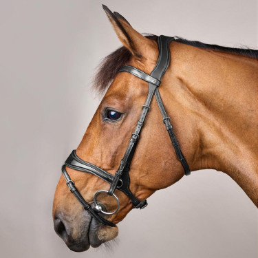 Bridão D Motion New English Collection by Dy'on Preto