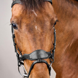 Bridão D Motion New English Collection by Dy'on Preto