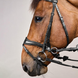 Bridão D Motion New English Collection by Dy'on Preto