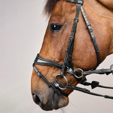 Bridão D Motion New English Collection by Dy'on Preto