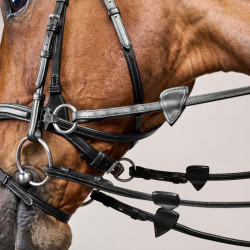 Bridão D Motion New English Collection by Dy'on Preto