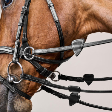 Bridão D Motion New English Collection by Dy'on Preto