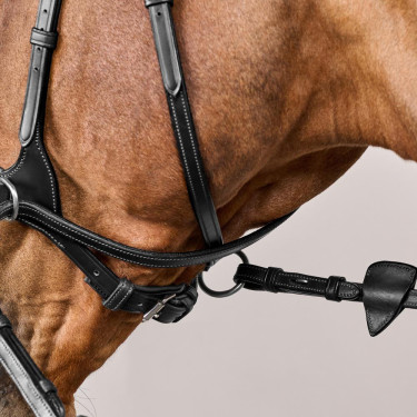 Bridão D Motion New English Collection by Dy'on Preto